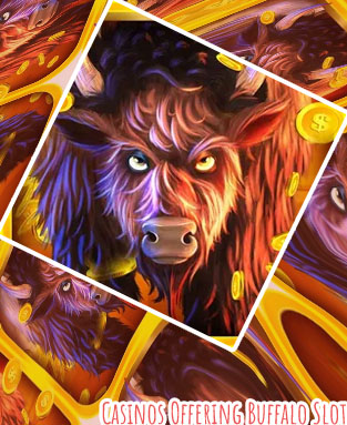 Buffalo slots app of bangladeshi players